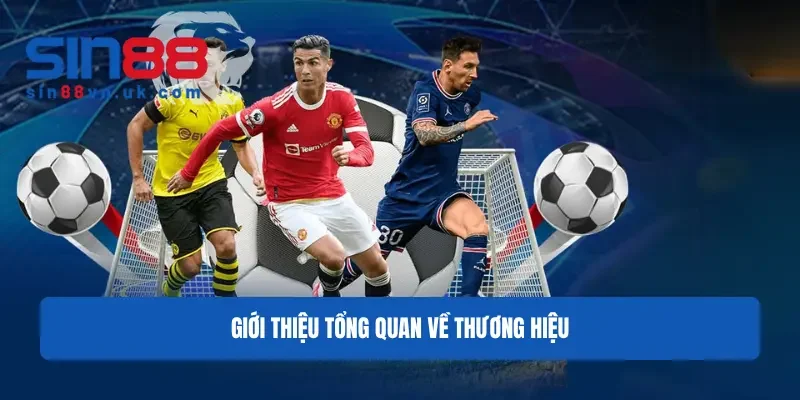 Giới thiệu tổng quan về thương hiệu Giới thiệu tổng quan về thương hiệu