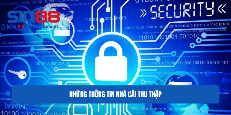 Những thông tin nhà cái thu thập